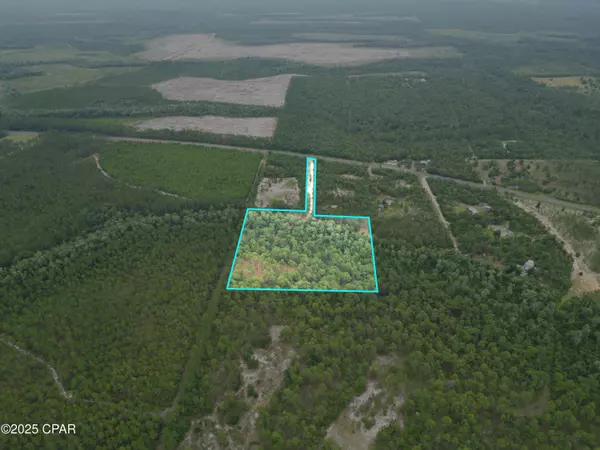 Hosford, FL 32334,TBD Lowery Acres RD