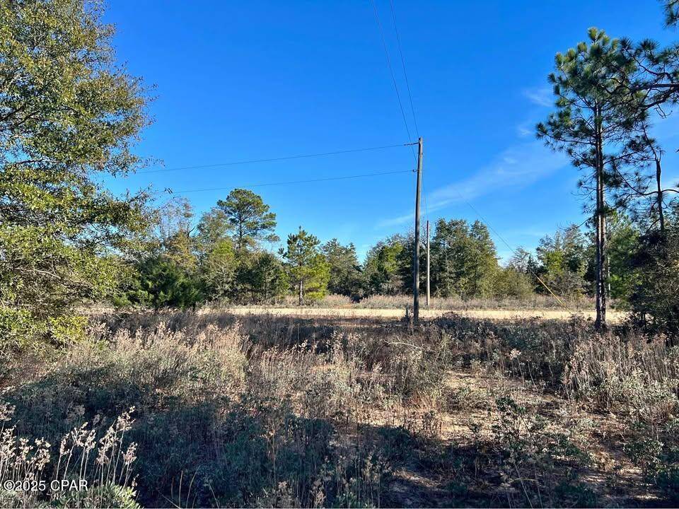 Marianna, FL 32448,0 Cardinal AVE