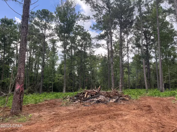 2852 Lovewood DR, Cottondale, FL 32431