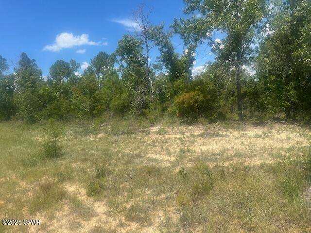 Chipley, FL 32428,TBD Cachet CT #9