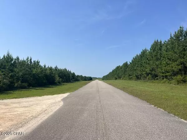 Kinard, FL 32449,0 SE Nadine Stone Landing RD