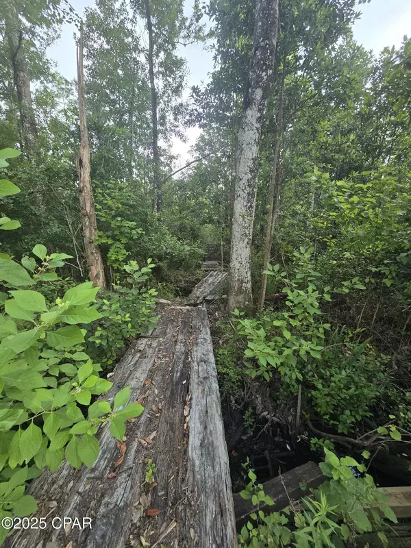 Marianna, FL 32448,0 Bartlett RD