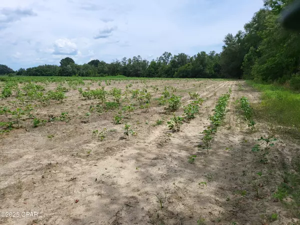 Chipley, FL 32428,000 Joiner RD