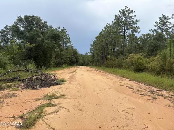 Alford, FL 32420,Lot 29 Odum ST