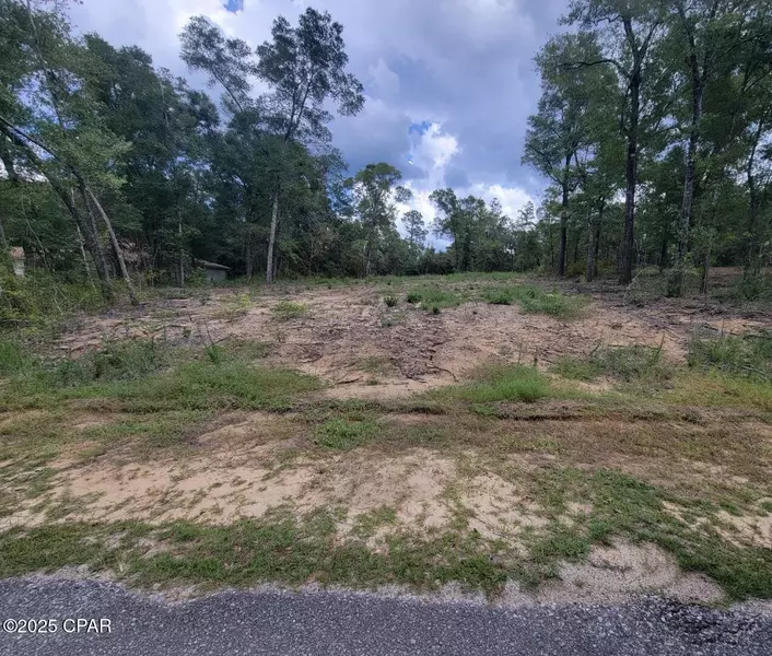 00 Paradise Lakes RD, Chipley, FL 32428