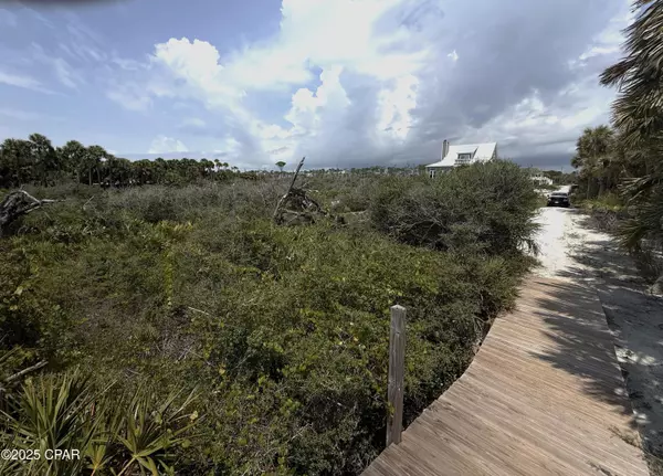 Cape San Blas, FL 32456,TBD Boyne RD