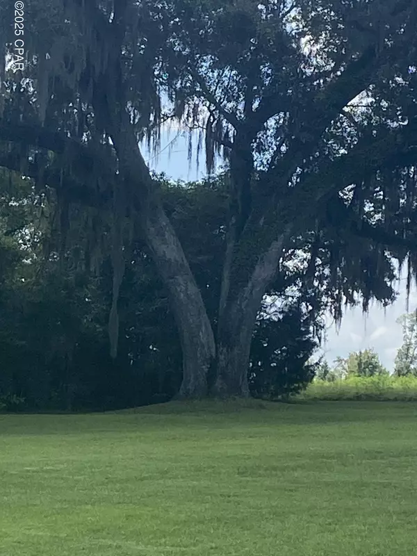 1386 Parker RD, Grand Ridge, FL 32442