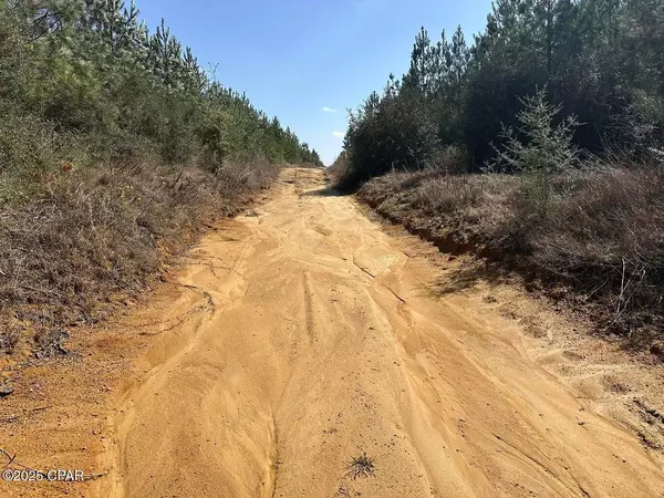 Caryville, FL 32427,Tract#6416 S Douglas Ferry RD