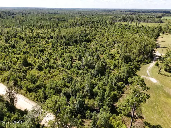 Marianna, FL 32448,20 Scott Church RD