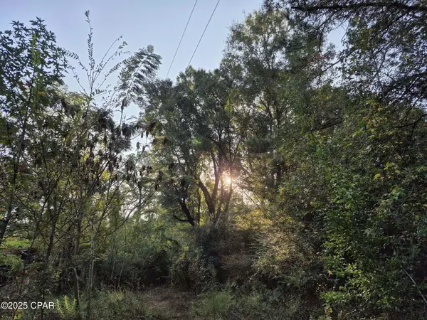 Bonifay, FL 32425,2144 Hwy 179