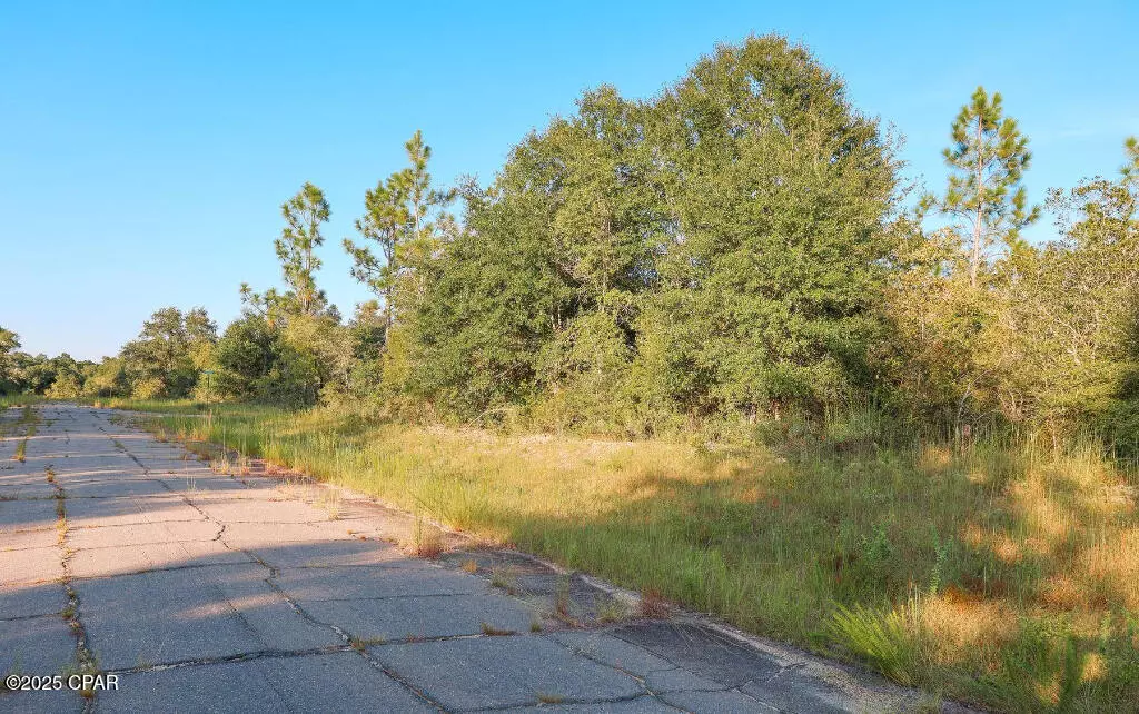 Chipley, FL 32428,21 Bestland DR