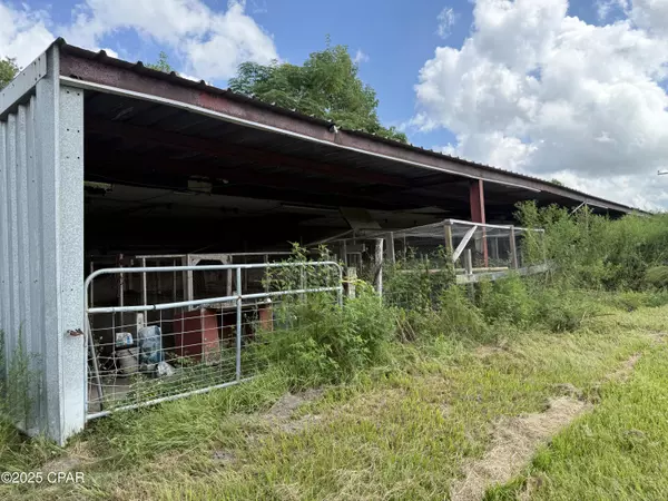 Cottondale, FL 32431,3560 Peanut RD