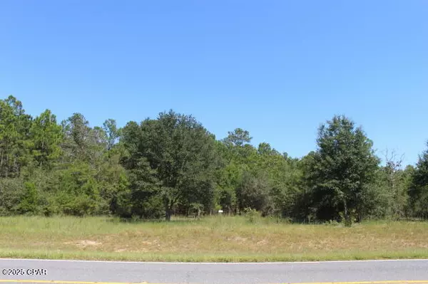 Marianna, FL 32448,0 Fairview RD