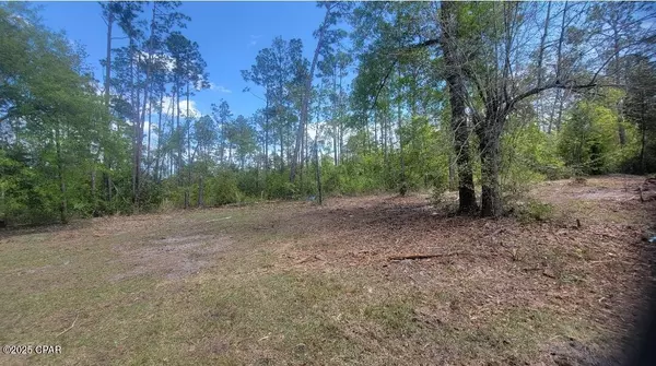 Youngstown, FL 32466,3820 E Highway 388
