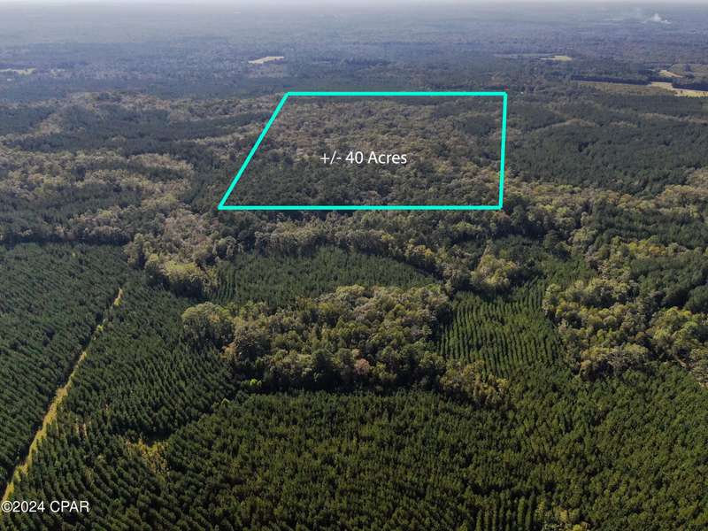 00 Clemmons RD, Bonifay, FL 32425