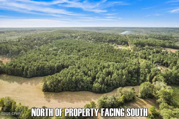 0 Ambus LN, Chipley, FL 32428