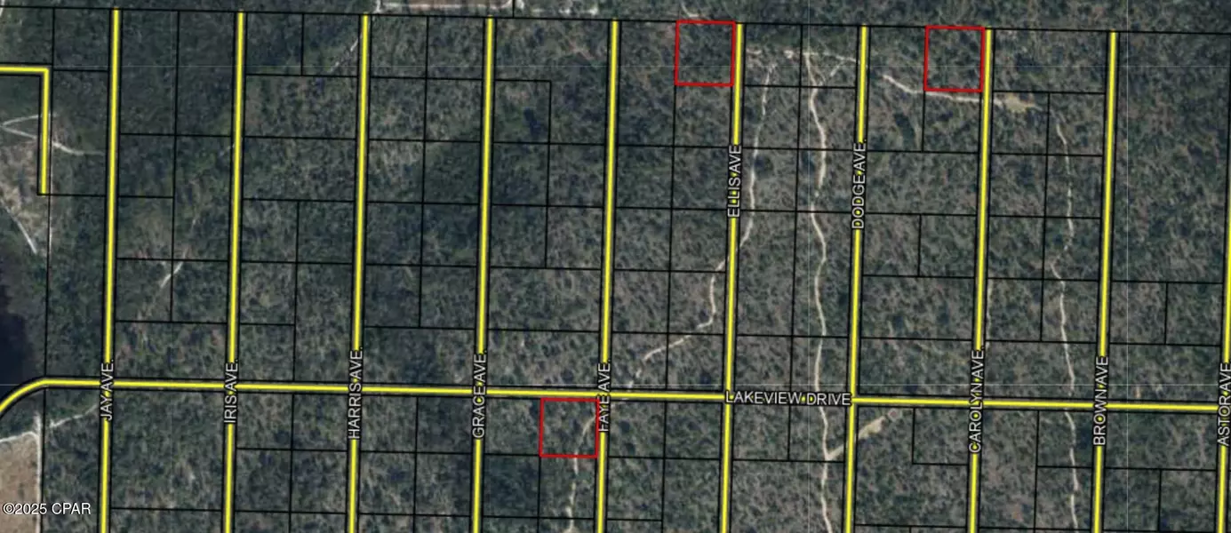 LOT 1/4/16 Hwy 20, Youngstown, FL 32466