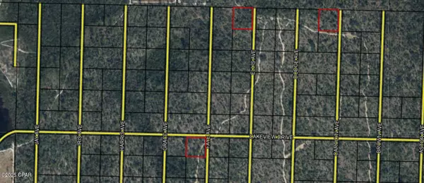 LOT 1/4/16 Hwy 20, Youngstown, FL 32466