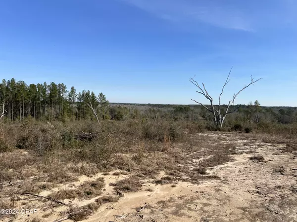 Ponce De Leon, FL 32455,0 James Luther Street