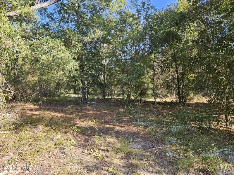 A-126 Quail Ridge DR, Chipley, FL 32428