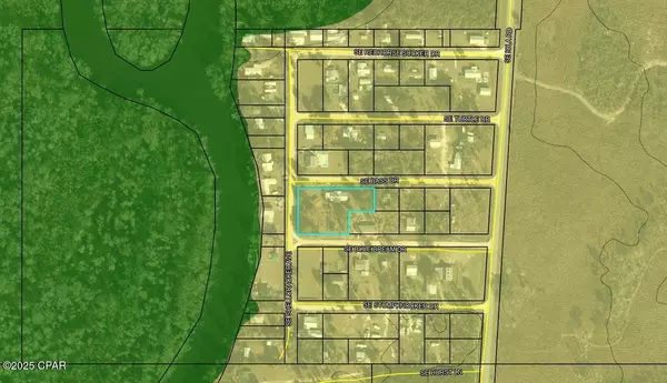 Blountstown, FL 32424,15003 SE Bass DR