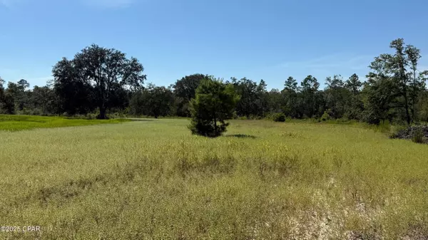 0 Jewel RD, Alford, FL 32420