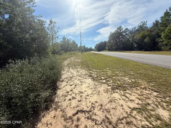XXX Shenandoah BLVD #Lot 4, Chipley, FL 32428