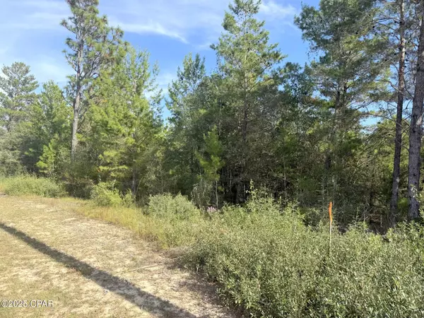 Chipley, FL 32428,XXX Shenandoah BLVD #Lot 3