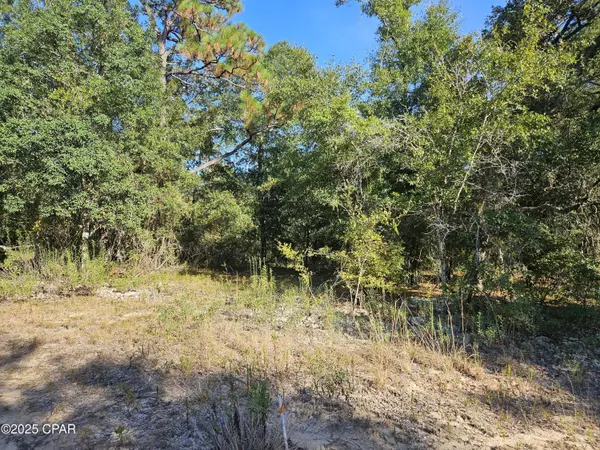 Chipley, FL 32428,B-216 Quail Ridge DR