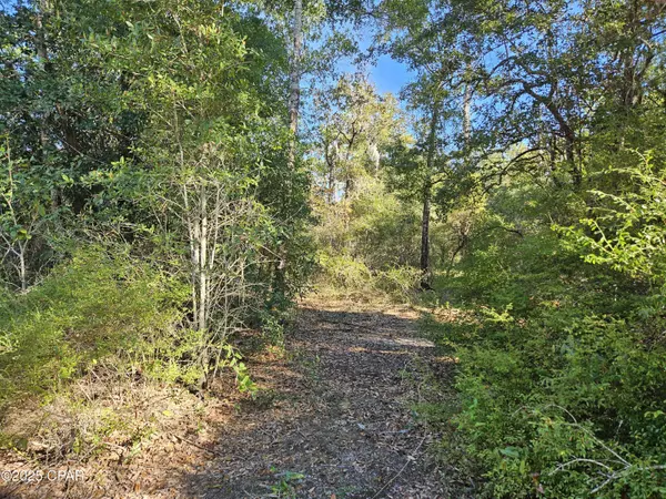 Chipley, FL 32428,B-216 Quail Ridge DR