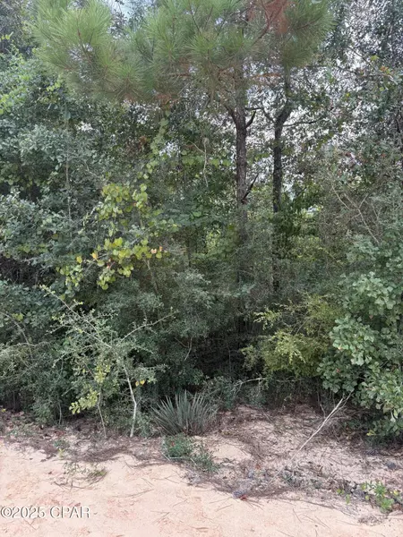 0 Grand Mesa Ave AVE, Alford, FL 32420