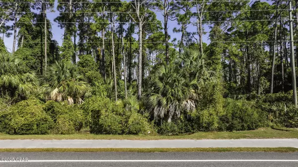 Port St Joe, FL 32456,TBD Cape San Blas Rd