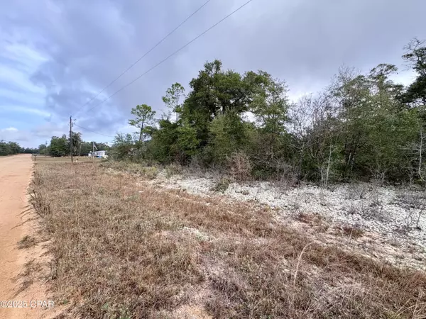 Alford, FL 32420,Lot 14 Sadorus AVE