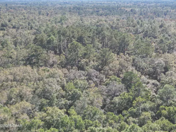 Ponce De Leon, FL 32455,2826 Irene ST