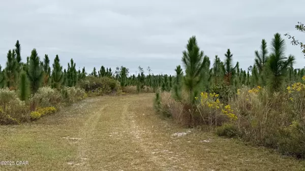 Youngstown, FL 32466,10900 E Hwy 388