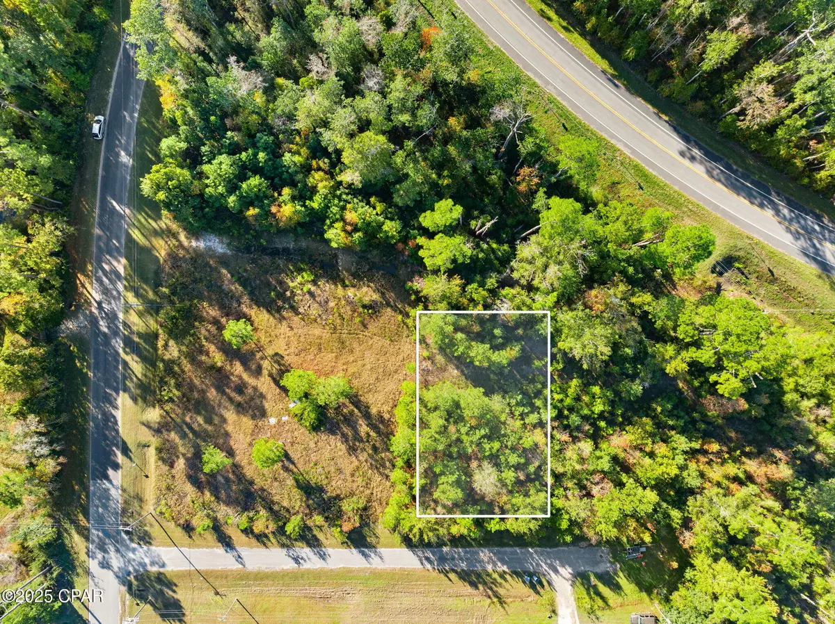 Wewahitchka, FL 32465,TBD Pear ST