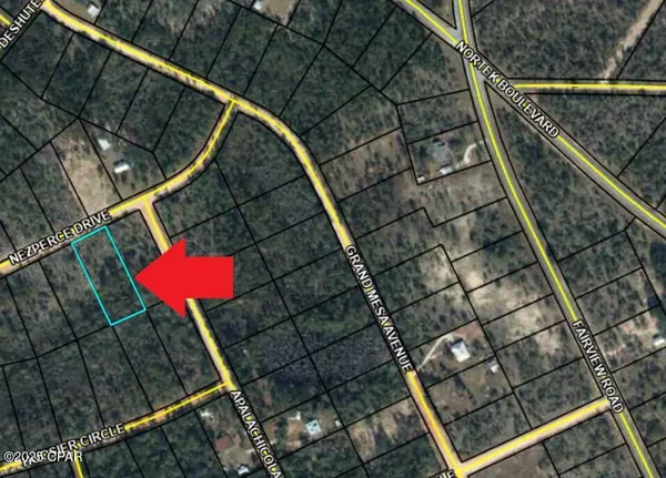 Alford, FL 32420,Lot 128 Nezperce DR