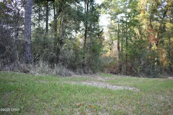 Caryville, FL 32427,Lot 1 Lakeview Rd.