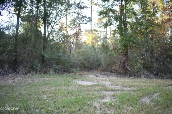 Caryville, FL 32427,Lot 1 Lakeview Rd.