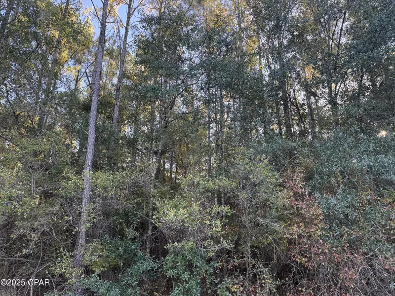 0000 County Road 160, Bonifay, FL 32425