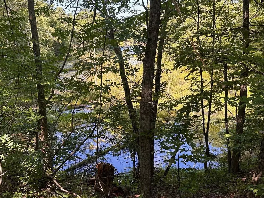 Hayward, WI 54843,Lot 1 Oriole LN