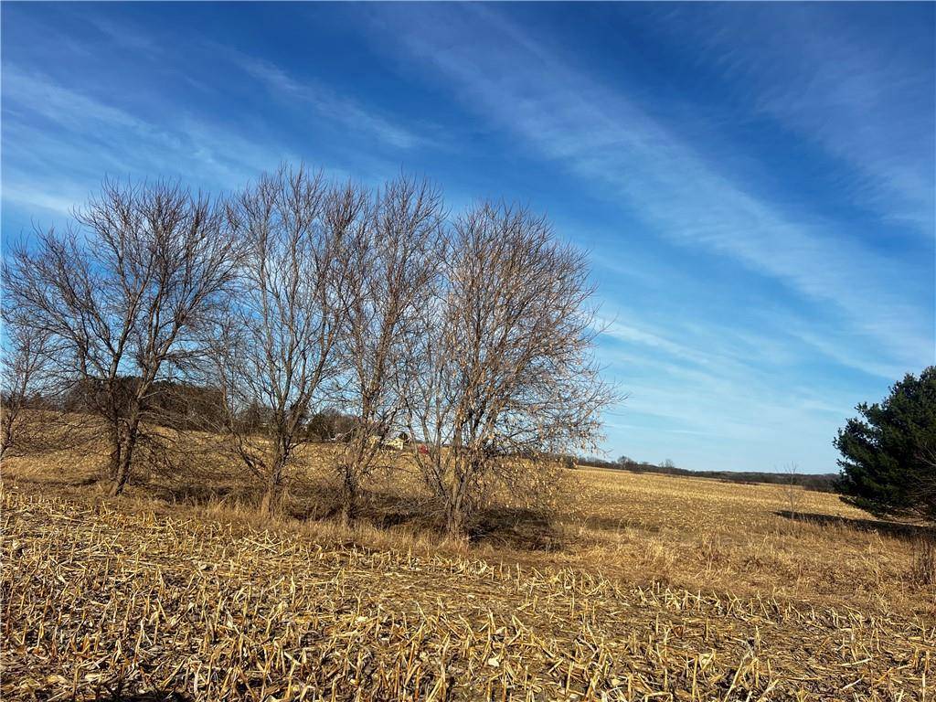 Lot 4 105th Street, Amery, WI 54001