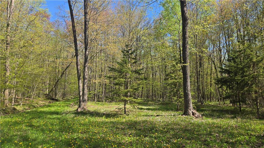 N 900 Joes Road, Conrath, WI 54731