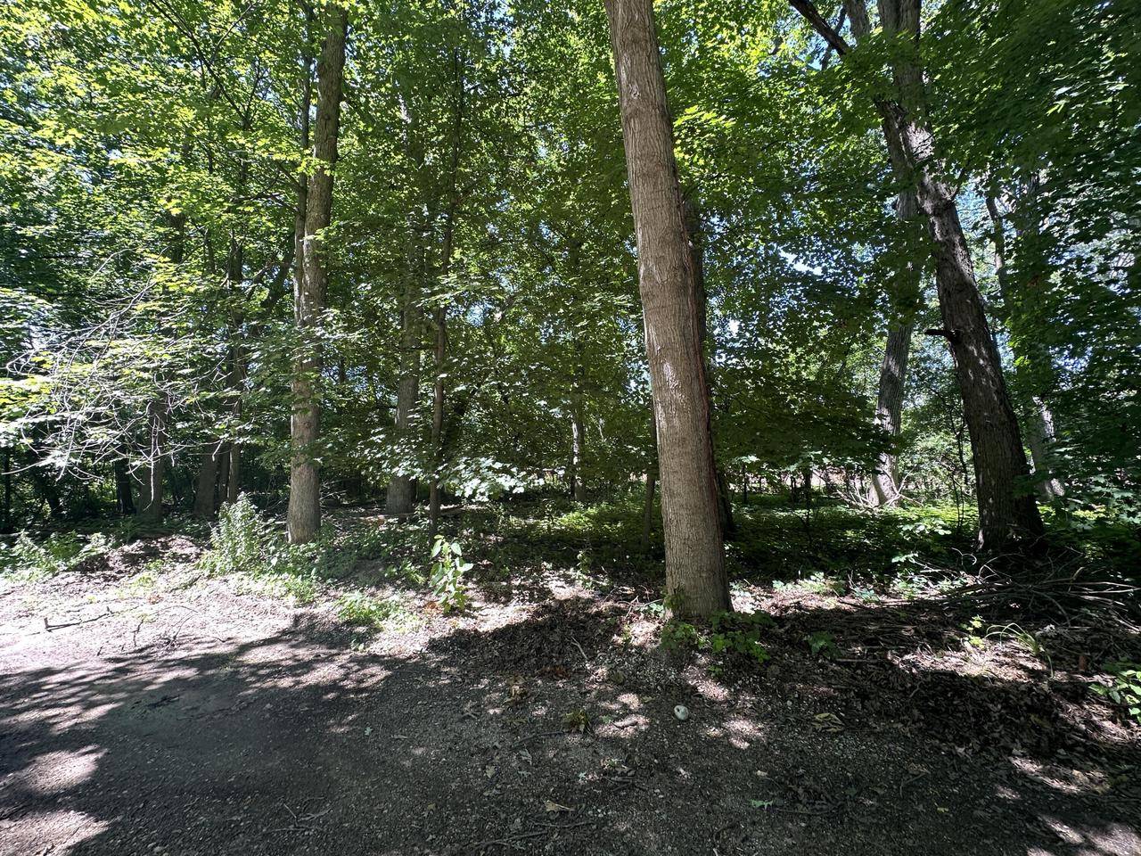 Lt0 OAK TRACE, Lake Geneva, WI 53147