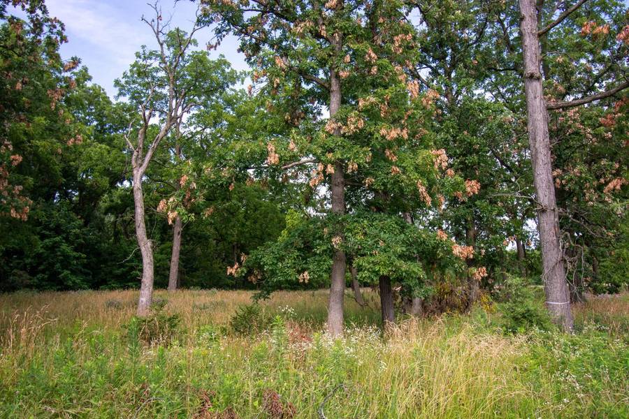 Lt20 SPRINGFIELD ROAD, Lake Geneva, WI 53147