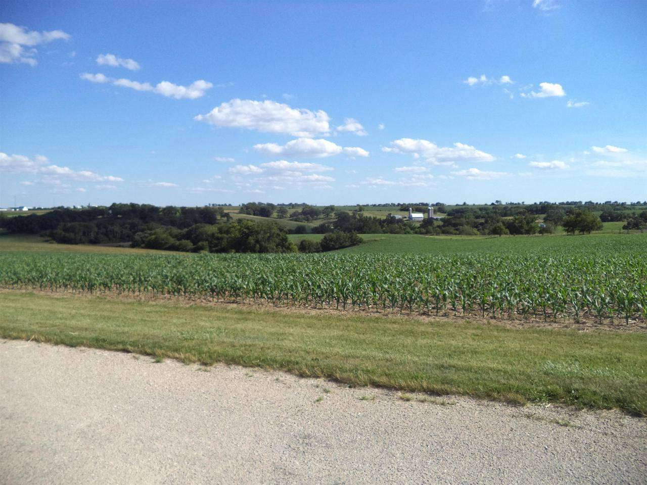 6.27 Ac Stonewood Lane, Darlington, WI 53530