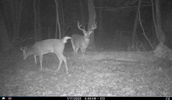 N8510 Fish Road, New Lisbon, WI 53950