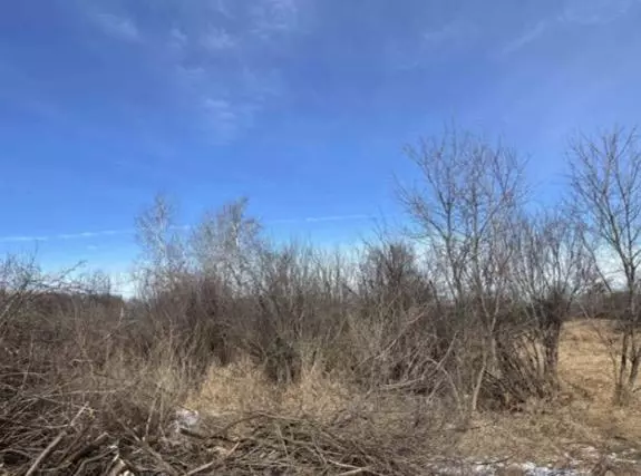 Tomah, WI 54660,000 Grapevine