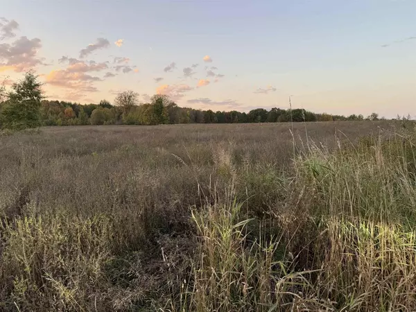 Aniwa, WI 54408,Lot 3 EAU CLAIRE RIVER ROAD