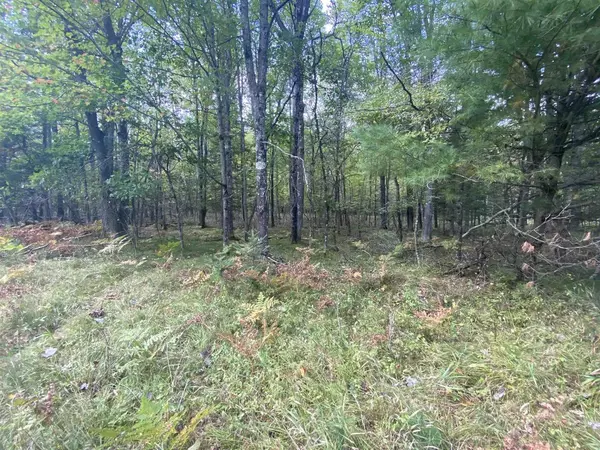 N11605 RIVER ROAD, Wausaukee, WI 54177
